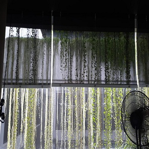 roller blind shinichi